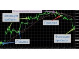 ТОРГОВЫЙ РОБОТ